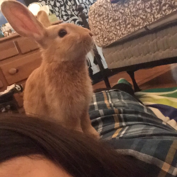 Meet your Posher, Alex - Picture 4 of 4